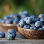 bowls-of-blueberries-in-garden-556919159-57602fa55f9b58f22ebdfead