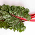 chard-crop-bf28a94bc77e40b586b0a2335704e283