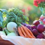 agriculture-basket-beets-bokeh-533360