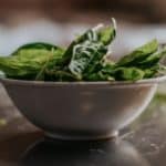 green-leaves-in-white-ceramic-bowl-1751149